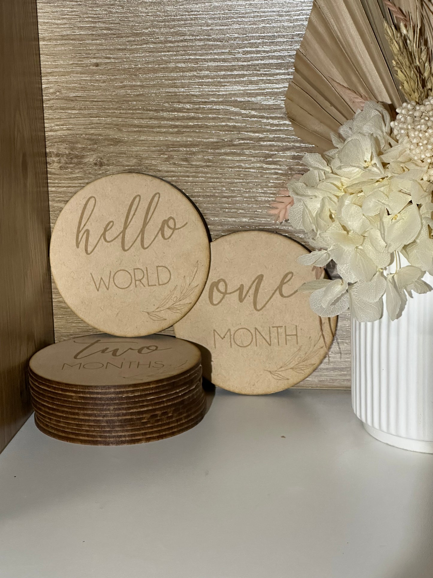 Monthly Milestone Plaques – Set of 13